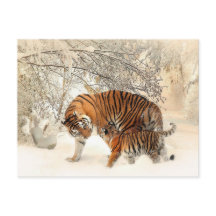 Carte postale Tiger Family en paysage hivernal
