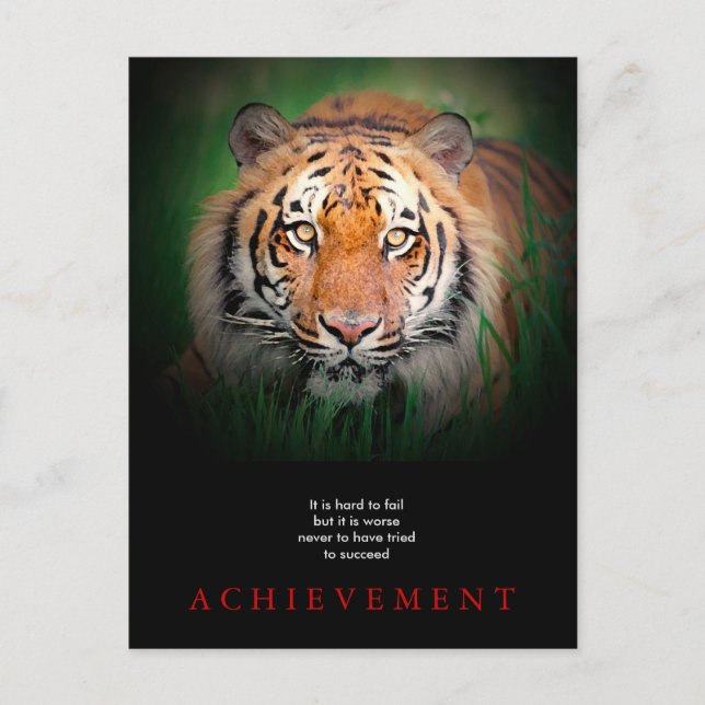 Carte Postale Tiger Motivation Réussite (Devant)