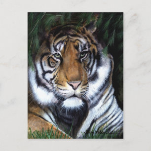 Carte postale Tiger Peinture
