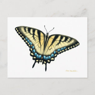 Carte postale Tiger Swallowtail Butterfly