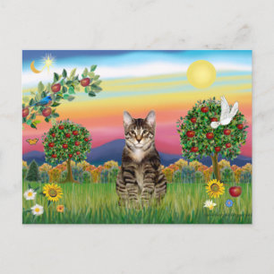 Carte Postale Tiger Tabby Chat 1 - Pays Lumineux