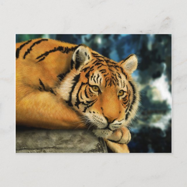Carte Postale Tigre (Devant)