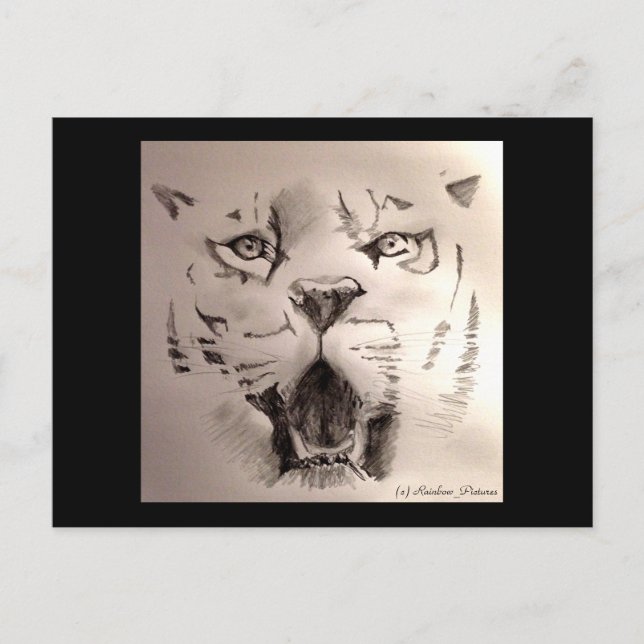 Carte Postale Tigre (Devant)