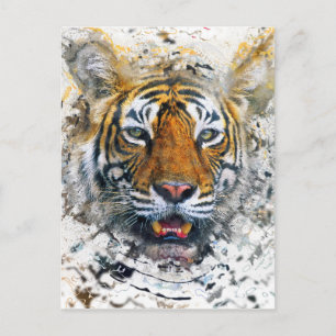 Carte Postale Tigre