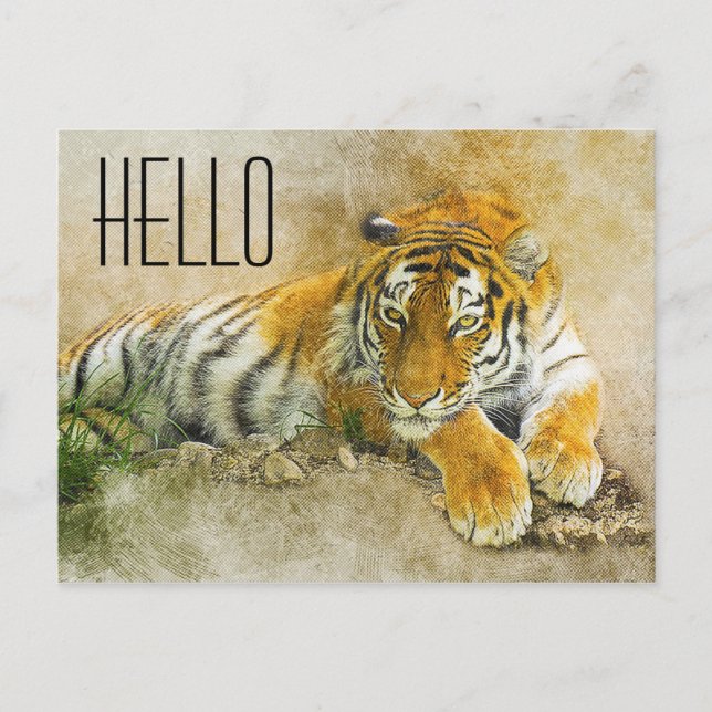 Carte Postale Tigre (Devant)