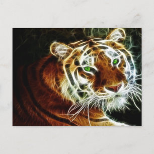 Carte Postale Tigre 3