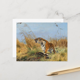 Carte Postale Tigre avec Waterbuck tué par Richard Friese