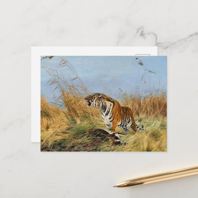 Carte Postale Tigre avec Waterbuck tué par Richard Friese (Devant/Arrière en situation)