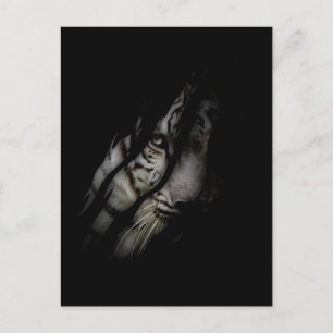 Carte Postale Tigre Blanc Visage Griffe Déchirée Animal Sauvage 
