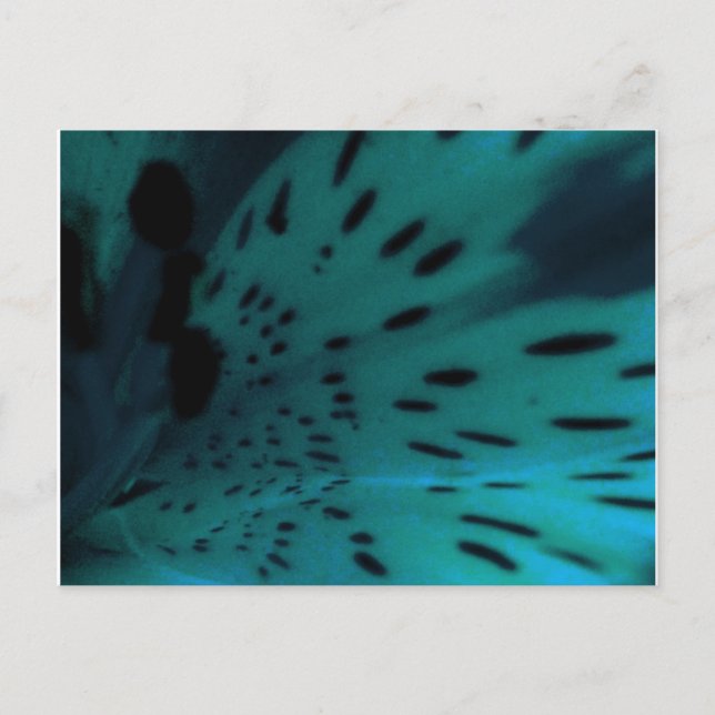 Carte Postale Tigre bleu (Devant)