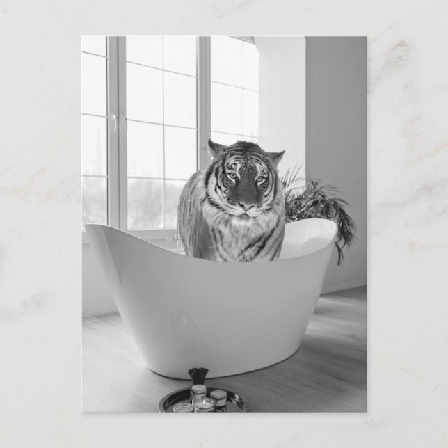 Carte Postale Tigre dans la baignoire Noir Blanc Art de la salle (Devant)