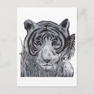 Carte Postale Tigre dans l'herbe