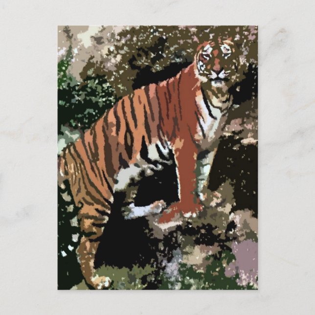 Carte Postale Tigre de montagne (Devant)