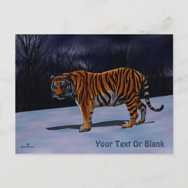 Carte Postale Tigre de Sibérie (Devant)