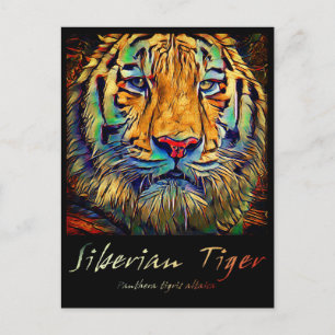 Carte Postale Tigre de Sibérie [Carte postale]