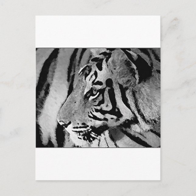 Carte Postale Tigre noir et blanc (Devant)