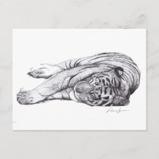Carte Postale Tigre - Stylo et encre