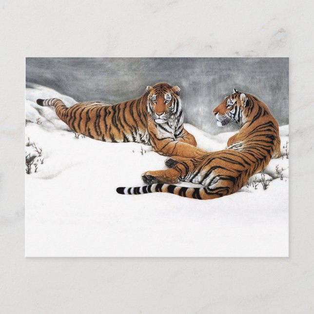 Carte Postale Tigres dans la neige, Art Chinois Classique (Devant)