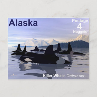 Carte Postale Timbre des baleines tueuses de l'Alaska
