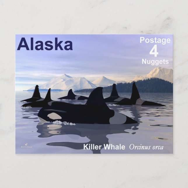Carte Postale Timbre des baleines tueuses de l'Alaska (Devant)