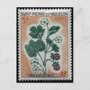 Carte postale Timbre gravé vintage