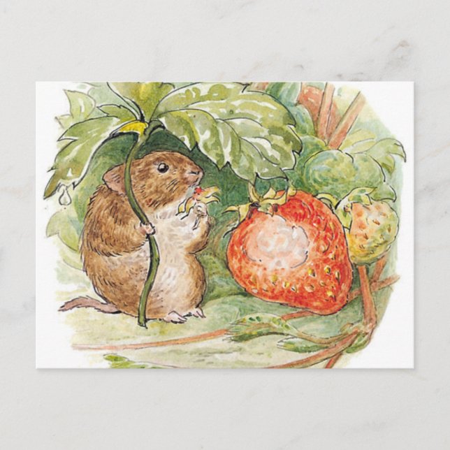 Carte Postale Timmy Willie Mouse - Beatrix Potter (Devant)