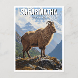 Carte Postale Tirer de l'Himalaya dans le Parc national de Sagar