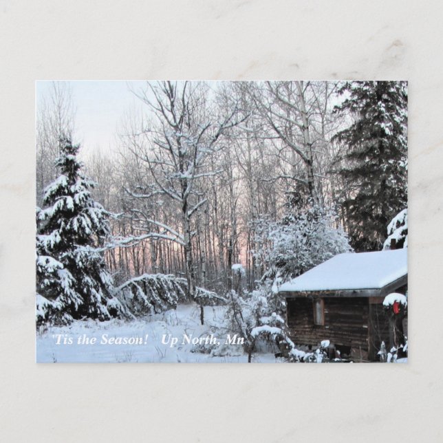 Carte Postale 'Tis Season Up North, Mn Winter Holiday (Devant)