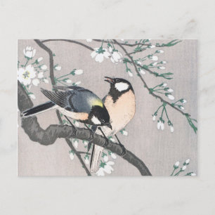 Carte Postale Tit on Cherry Branch vintage