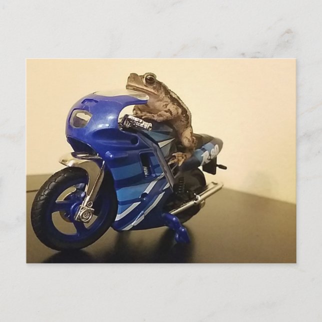 Carte Postale Toad (Devant)
