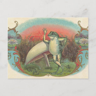 Carte Postale Toad et champignons