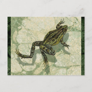 Carte Postale Toad Swinning in the Water
