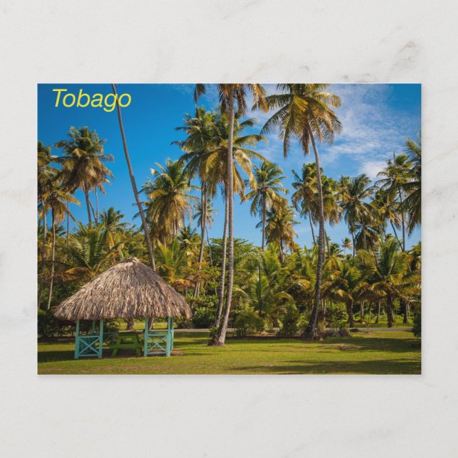 Carte Postale Tobago (Devant)