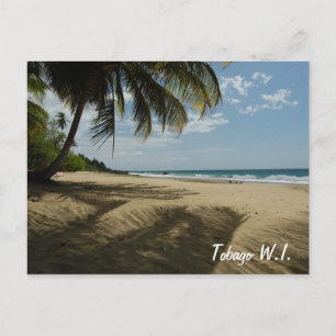 Carte Postale Tobago W.I.