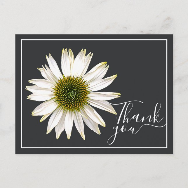 Carte Postale Toile de fond grise Charbon de coneflower blanc Me (Devant)