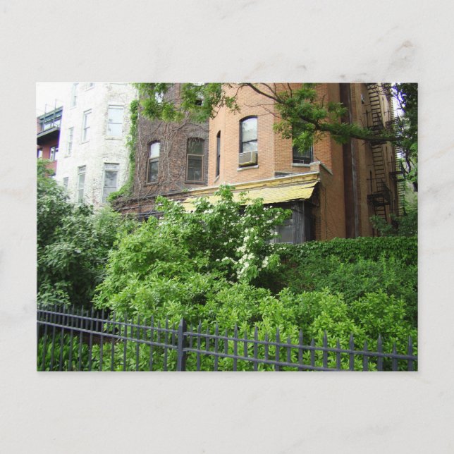 Carte Postale Toit et jardin jaune (Devant)