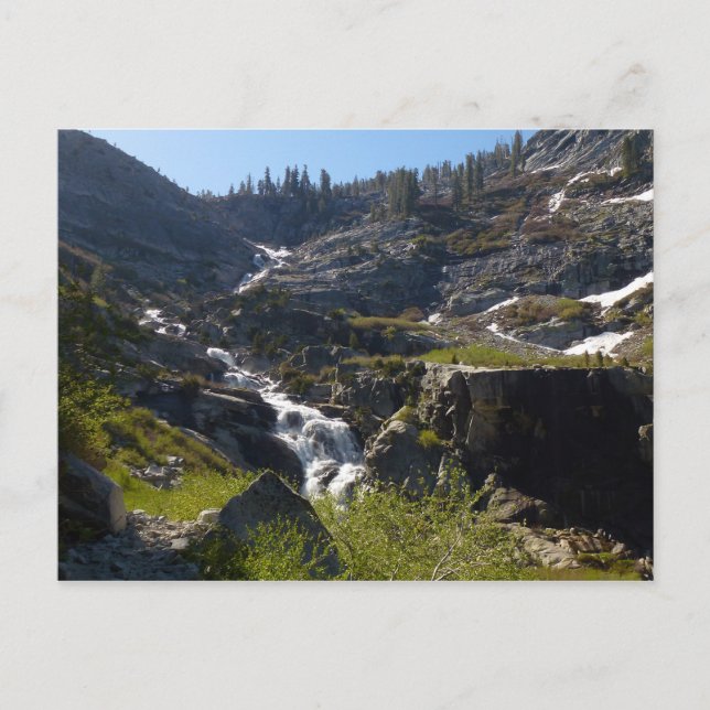 Carte Postale Tokopah Falls I at Sequoia National Park (Devant)