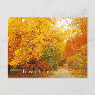 CARTE POSTALE/TOLEDO JARDIN BOTANIQUE/CHEMIN D'AUT