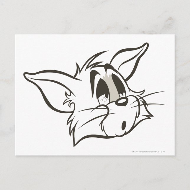 Carte Postale Tom Sleepy Chat (Devant)