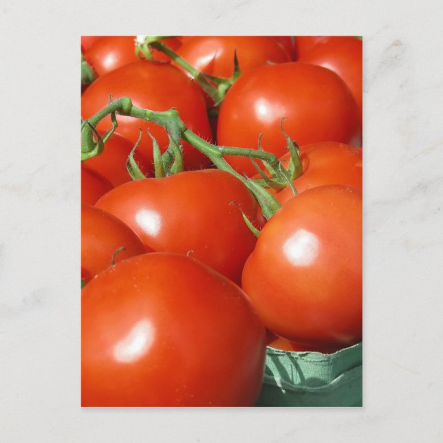 Carte Postale Tomates (Devant)