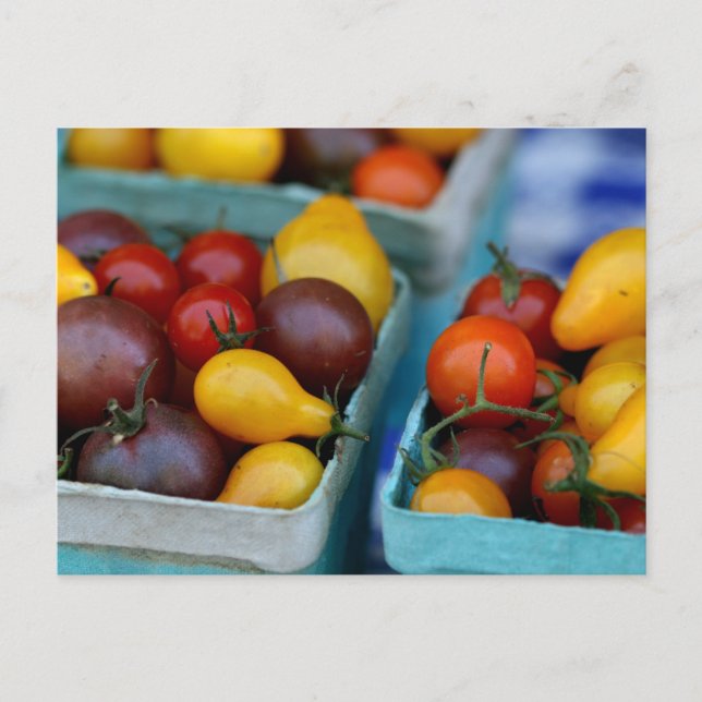 Carte Postale Tomates de l'héloome (Devant)