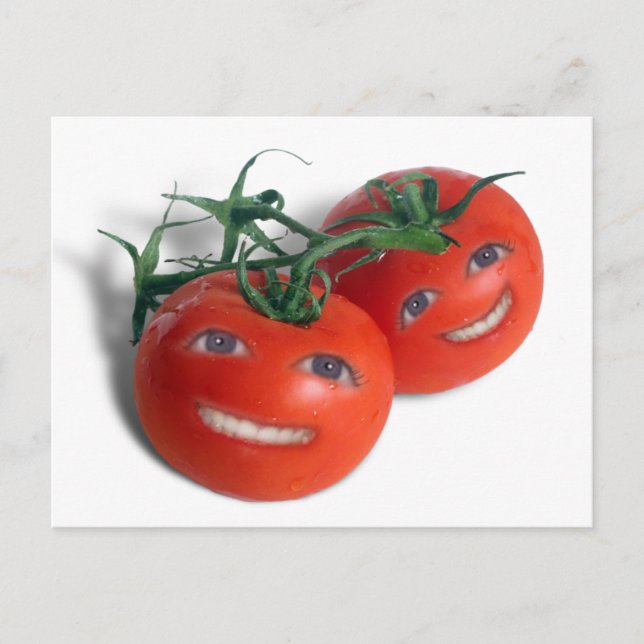 Carte Postale Tomates sucrées (Devant)