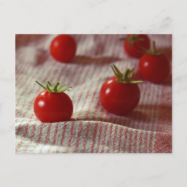 Carte postale "Tomato Party" (Devant)