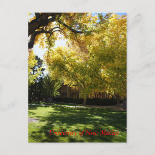 Carte Postale Tomber sur le campus I