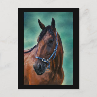 Carte Postale Tommy Standardbred Horse Art