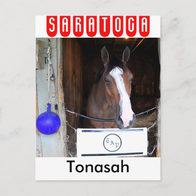 Carte Postale Tonasah (Devant)