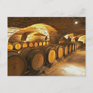 Carte Postale Tonneaux de chêne dans la cave au Domaine Comte