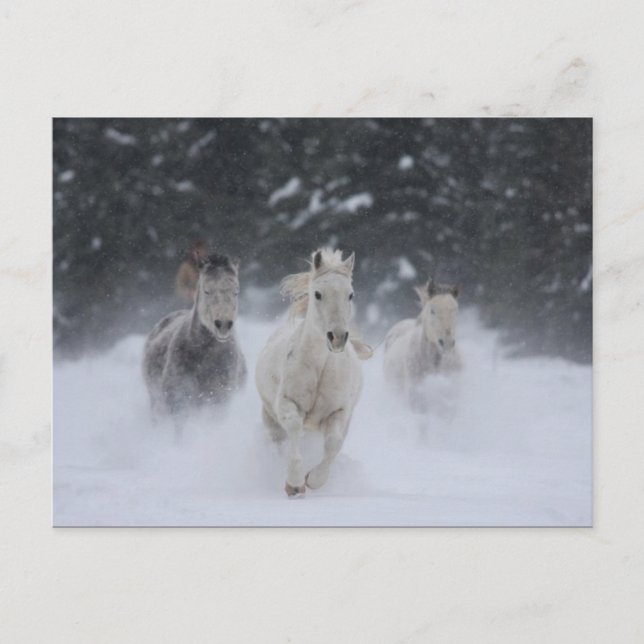 Carte Postale Tonnerre roulant (Devant)