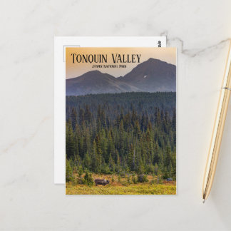 Carte Postale Tonquin Valley, Jasper NP Caribou Postcard