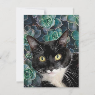 Carte postale Top Cat